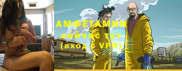 сатива Кулебаки